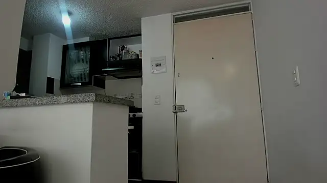 Snapshot of lauramcdowell1 chatting on 11/20/25, 03:23 lauramcdowell1 online show from 11/20/25, 03:23