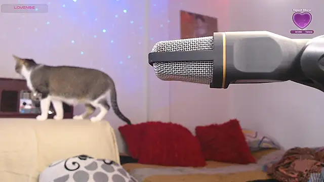 Marci owo online show from 09/27/25, 08:15