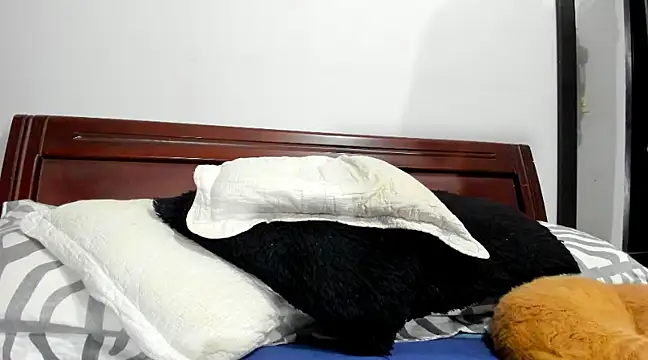 aleziiacam online show from 02/14/25, 03:11