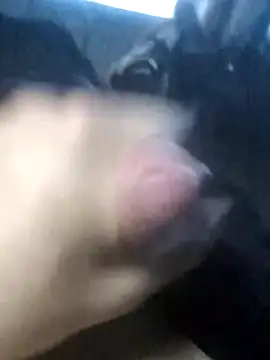 Boysex227 online show from 03/19/26, 04:23