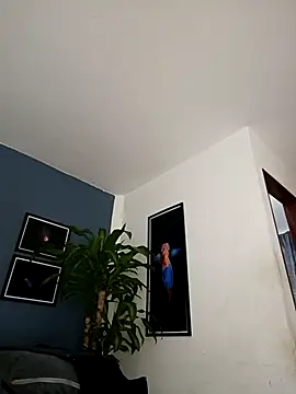 Snapshot of SilvaBranko chatting on 12/18/25, 12:05 SilvaBranko online show from 12/18/25, 12:05