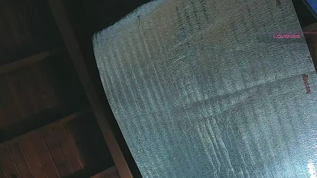 SilvaBranko online show from 04/13/26, 01:09