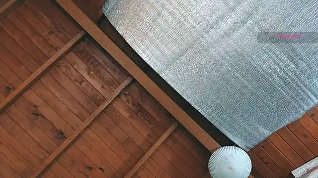 SilvaBranko online show from 03/27/26, 09:05