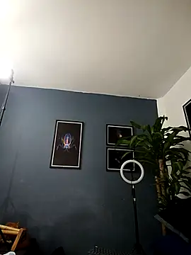 Snapshot of SilvaBranko chatting on 12/01/25, 01:06 SilvaBranko online show from 12/01/25, 01:06