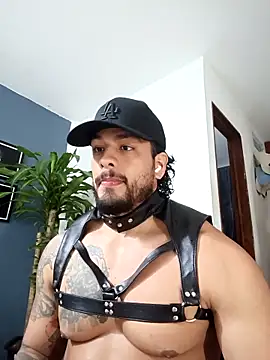 Snapshot of SilvaBranko chatting on 12/17/25, 12:48 SilvaBranko online show from 12/17/25, 12:48