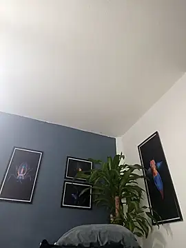 Snapshot of SilvaBranko chatting on 12/19/25, 02:04 SilvaBranko online show from 12/19/25, 02:04