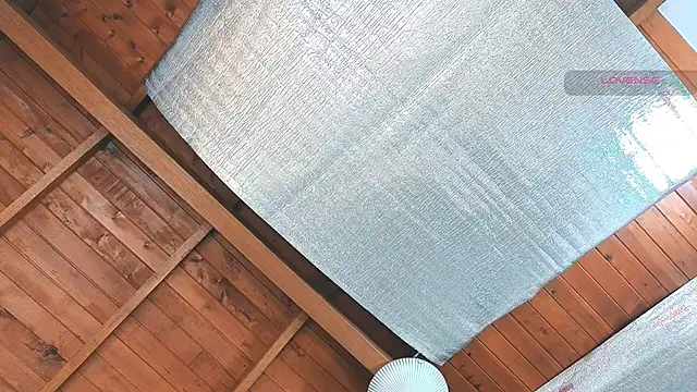 SilvaBranko online show from 03/16/26, 12:07