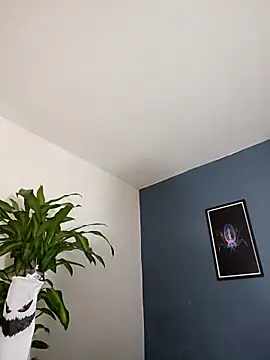 Snapshot of SilvaBranko chatting on 11/04/25, 10:02 SilvaBranko online show from 11/04/25, 10:02