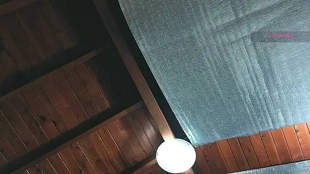 SilvaBranko online show from 04/07/26, 01:07