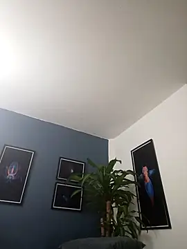 Snapshot of SilvaBranko chatting on 11/29/25, 01:06 SilvaBranko online show from 11/29/25, 01:06