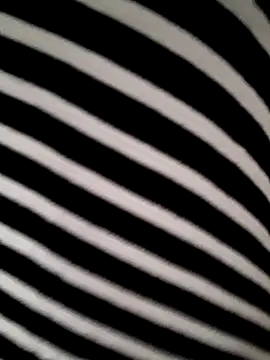 hotandfierylatinos2023 online show from 03/16/26, 11:03