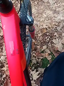 maleesa online show from 11/02/25, 06:29