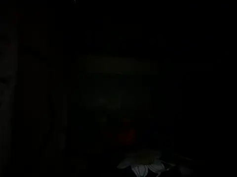 Snapshot of Mallayali_27 chatting on 01/14/25, 07:00 Mallayali 27 online show from 01/14/25, 07:00