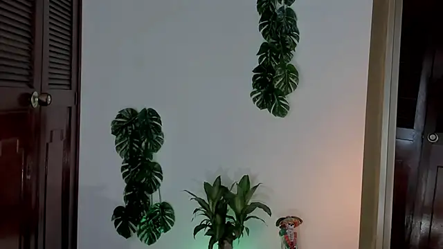 yandracelisofficial online show from 03/01/25, 04:22