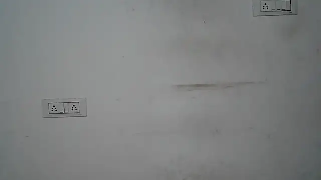 Suzie darling online show from 12/21/24, 02:41