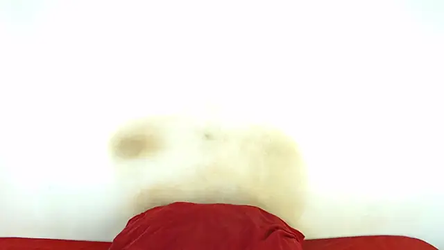 FAT ASS27 online show from 02/08/26, 12:52