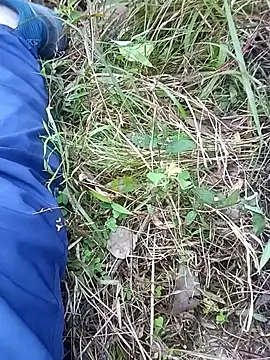 Snapshot of Nkumar173 chatting on 11/06/25, 06:17 Nkumar173 online show from 11/06/25, 06:17