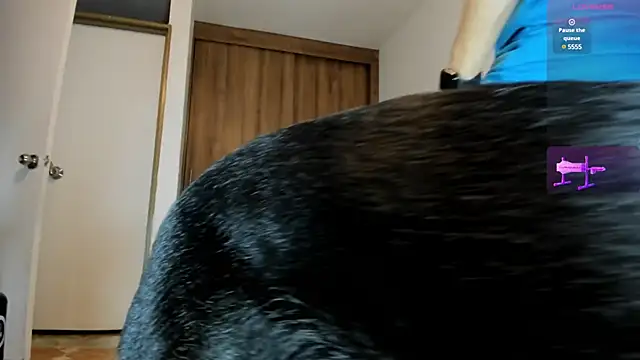 male pussy online show from 02/27/25, 10:31