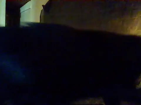 Nightshade7712 online show from 09/16/25, 09:38