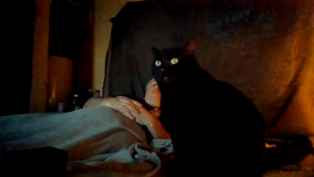 Nightshade7712 online show from 11/06/25, 09:41