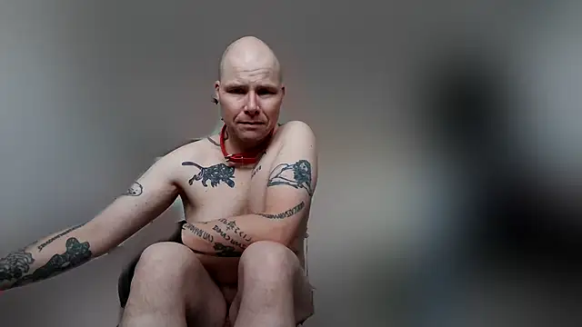 gaywolf426 online show from 02/19/26, 08:33