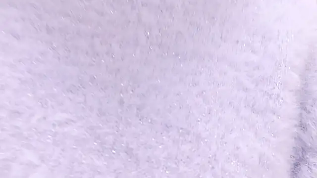 Nonchan  online show from 02/24/25, 12:26