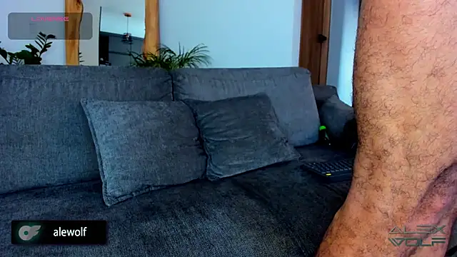 alex wolf  online show from 02/25/26, 10:20