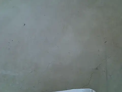 hairyswt pus online show from 11/26/25, 10:04