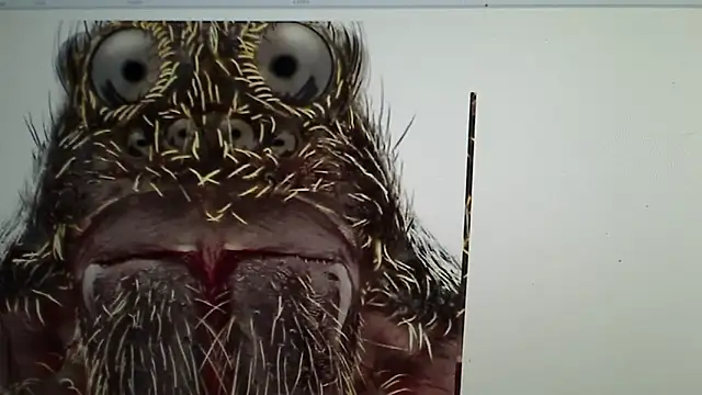 Snapshot of Ireallysquirt chatting on 03/12/25, 02:41 Ireallysquirt online show from 03/12/25, 02:41
