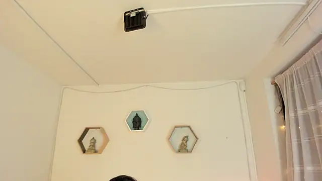 Paloma victory online show from 11/15/25, 09:30