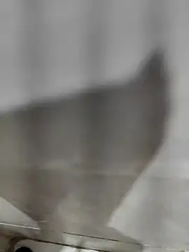 Snapshot of joejoe7 chatting on 10/02/25, 01:53 joejoe7 online show from 10/02/25, 01:53