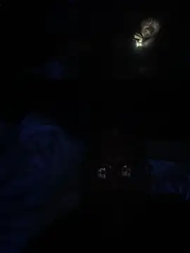 Ricoadoyabaaaaaaaad online show from 03/02/26, 12:33