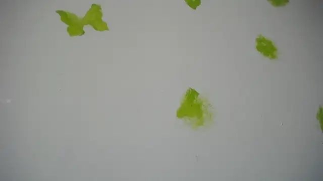 RACHELL  HOT online show from 09/30/25, 06:36