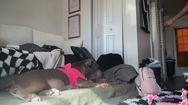 yummyrina online show from 02/07/26, 07:33