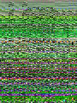 Sunbelxx online show from 12/18/25, 09:47