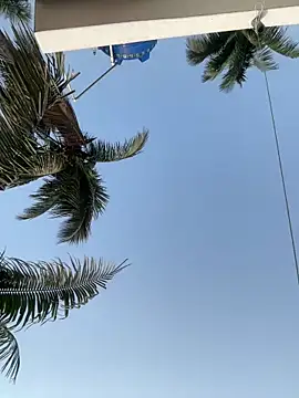 Ishikarana online show from 04/14/26, 01:43