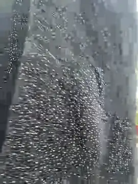 Ishikarana online show from 03/13/26, 12:37