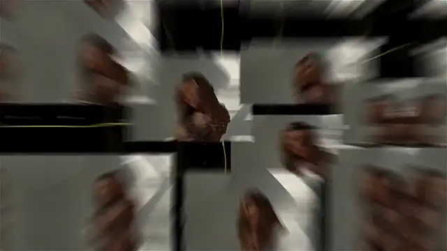 seilyfox online show from 09/25/25, 07:47