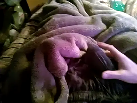 Snapshot of hothippie420 chatting on 03/12/25, 04:24 hothippie420 online show from 03/12/25, 04:24