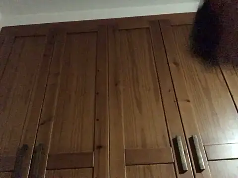 Snapshot of Dicksexhandjob chatting on 12/17/24, 12:23 Dicksexhandjob online show from 12/17/24, 12:23