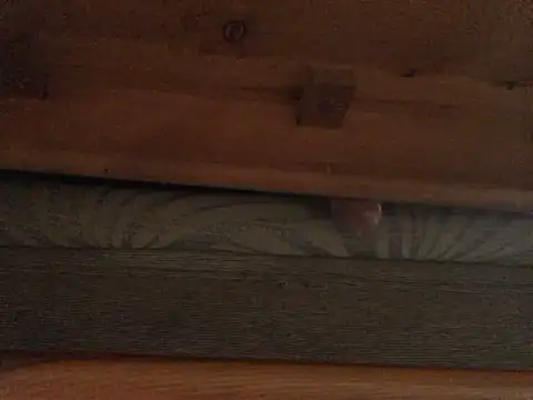 Snapshot of Dicksexhandjob chatting on 02/21/25, 01:33 Dicksexhandjob online show from 02/21/25, 01:33