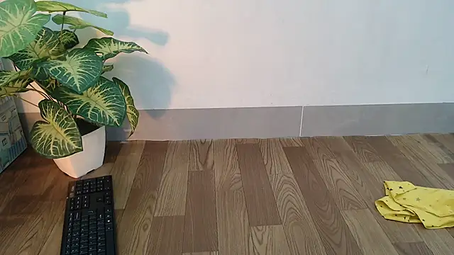 Linn 97 online show from 01/31/25, 10:52