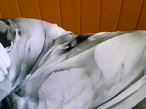 nastygirl- online show from 11/23/25, 09:30