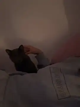 Ag4ta  online show from 02/19/26, 11:12