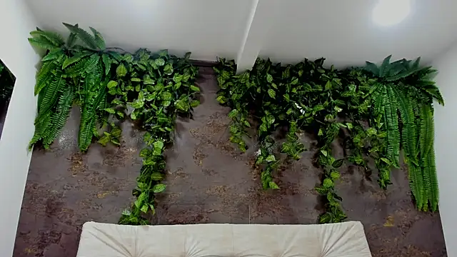 alice greco online show from 01/05/26, 06:55