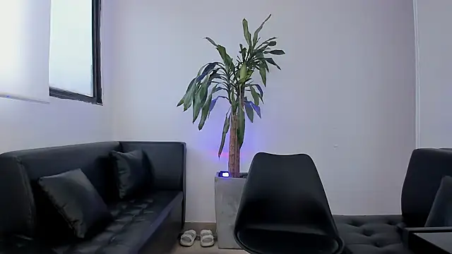 alice greco online show from 02/03/26, 12:54