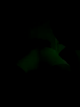 lRainbowBoy online show from 11/14/25, 12:25