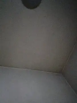 pontins online show from 03/25/26, 06:07