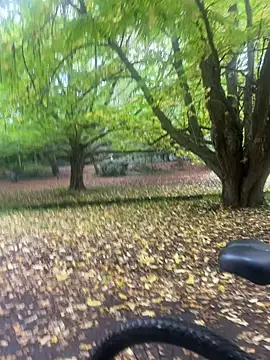 Shyboy817 online show from 10/22/25, 02:49