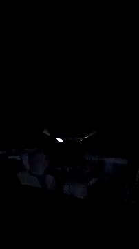 AriellaTaylor online show from 12/14/25, 12:33